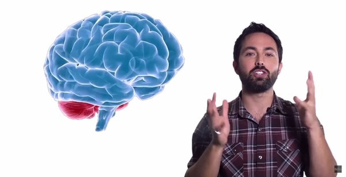 Иллюзия правды картинка. Derek Muller 2015 Google's Science Fair.