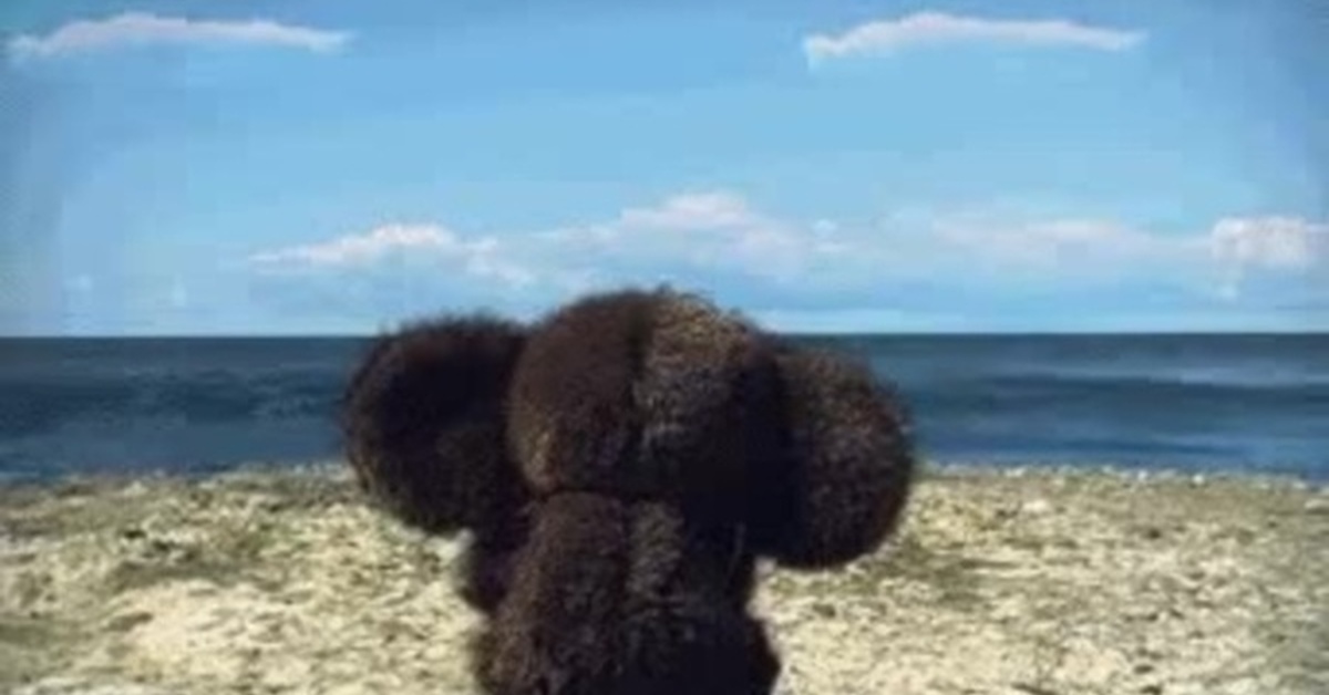Чебурашка На Море