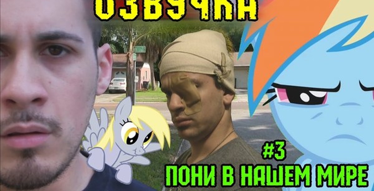 Pony world. Pony meets World. Видео Pony in real Life.