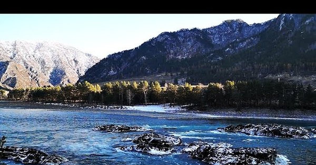 Горы оби. Река Катунь осенью. Река Катунь видео. В Бийске течет Катунь.