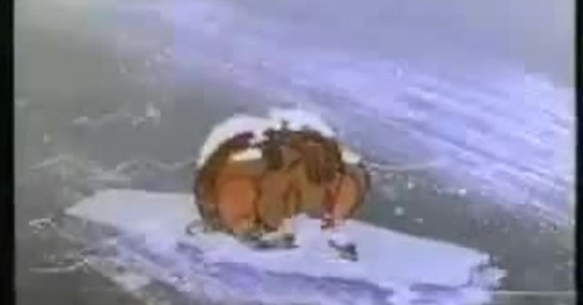 Мама для мамонтёнка во льдн. Фото мамонтенка из мультфильма. Песня про утонул