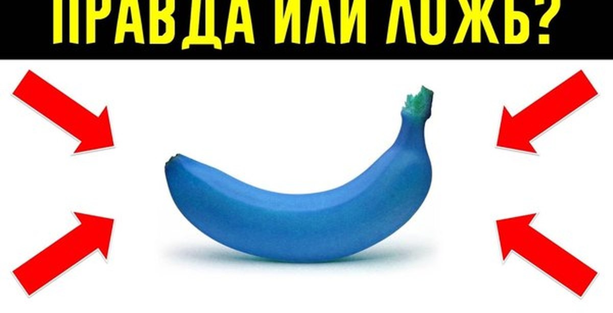 Правда целого. Правда или ложь рисунок. Правда или ложь клипарт. Рисунок на тему правда или ложь. Нарисовать ложь или правда.