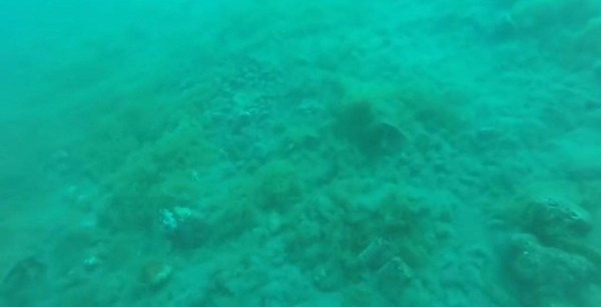 Землетрясение под водой | Пикабу