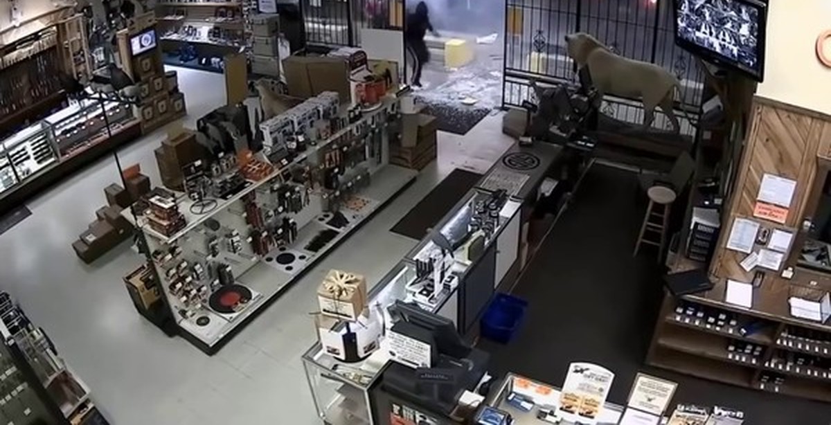 Ограбили оружейный магазин. Серебренников александр челябинск оружейный магазин. Негры грабят магазин. Ограбили оружейный магазин. Ограбление оружейного магазина в америке.