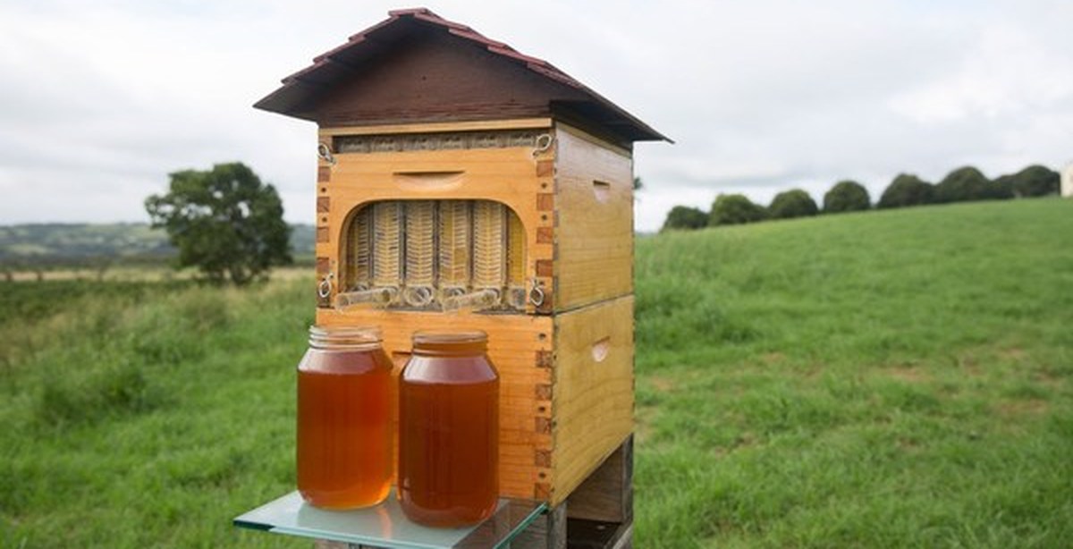 Tazorkis Beehive