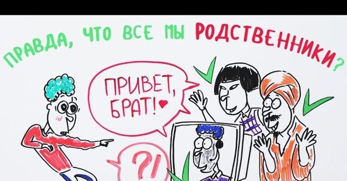 Научпок | Пикабу