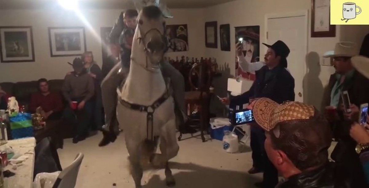 Пати Хард | Пикабу