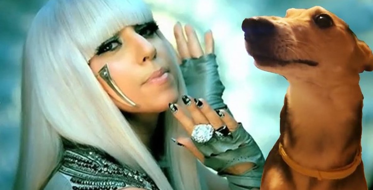 Зо зо ля ля. Леди Гага в клипе Покер фейс. Покер фейс леди Гага с собаками. Леди Гага ла ла ла ла ла. Леди Гага клип с собаками.