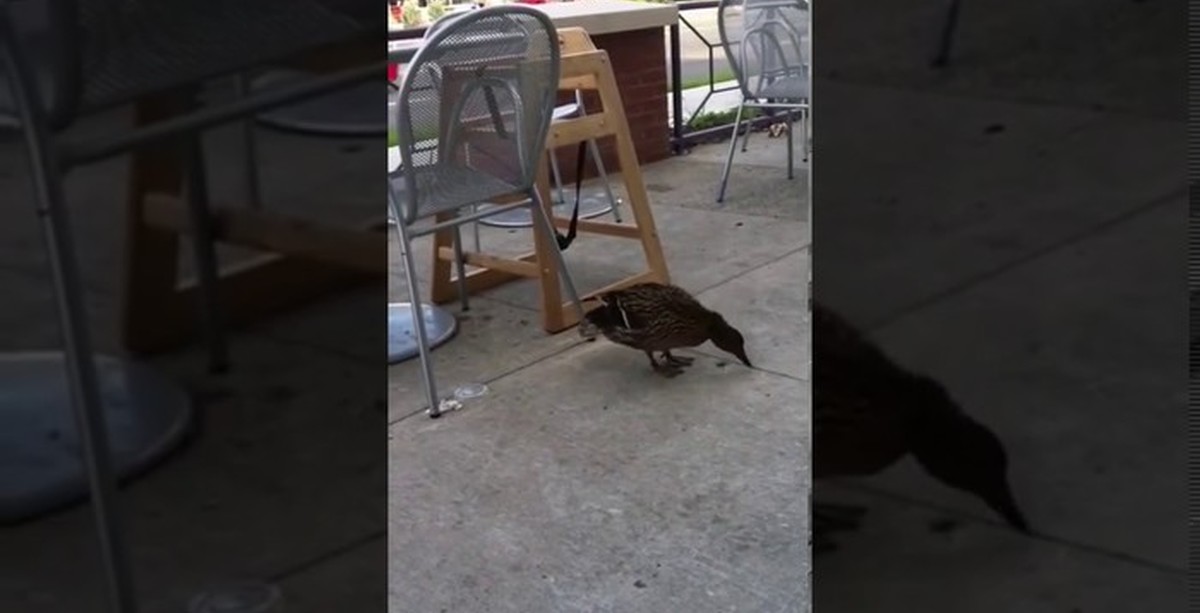 Сорвало днище | Пикабу