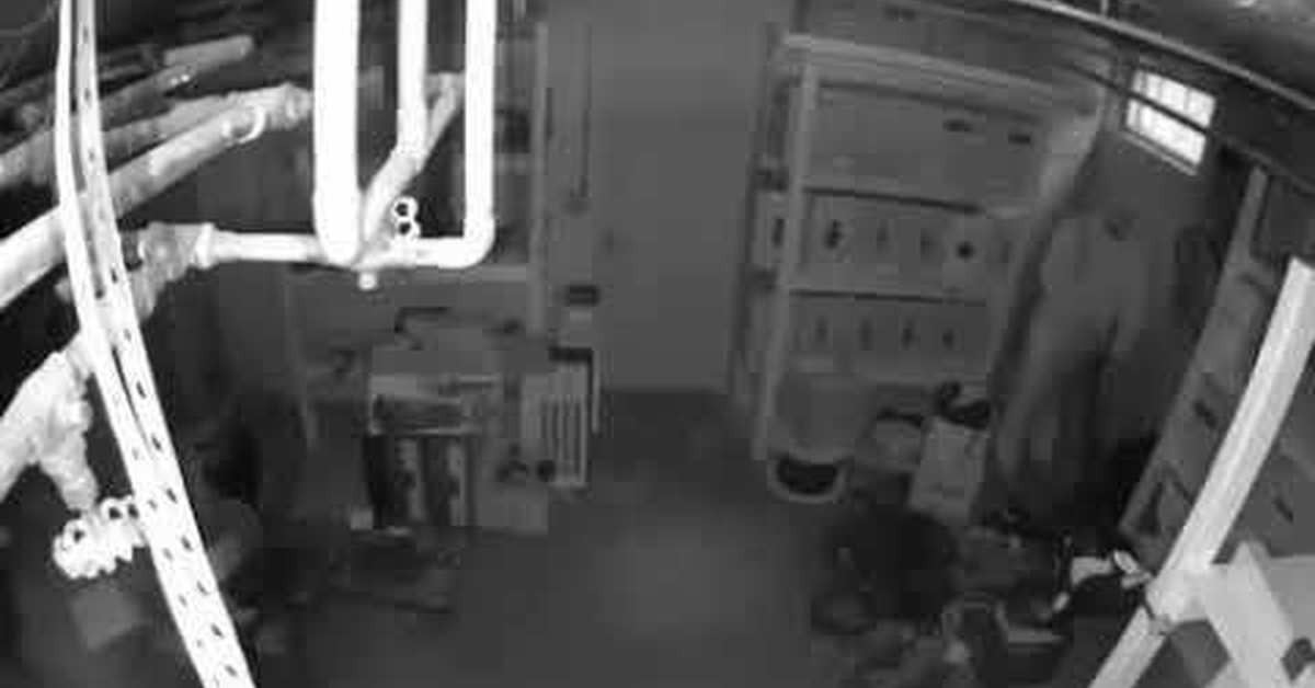 Маскировка 80 лвл | Пикабу