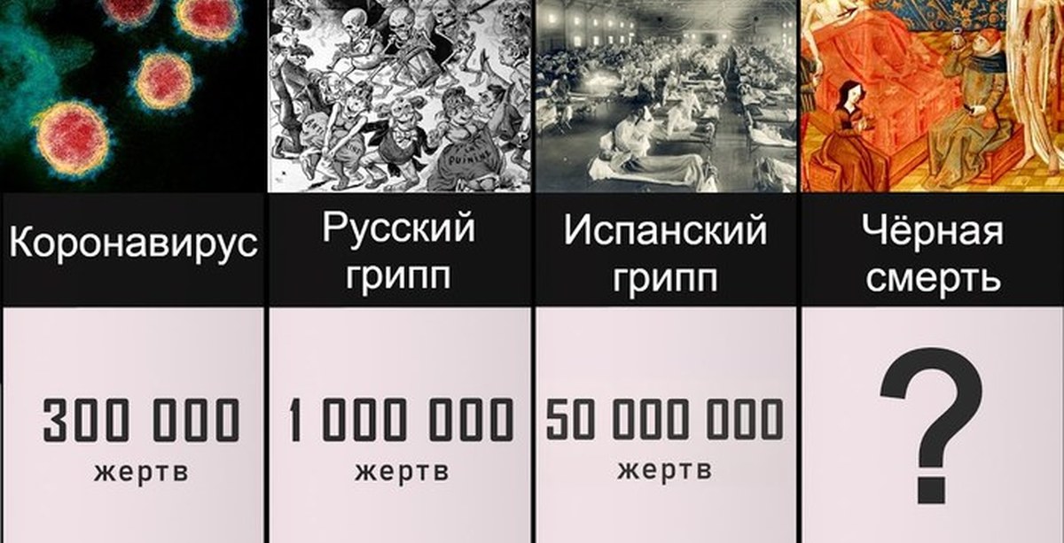 Страшнейшие пандемии в истории человечества. Пандемии в истории человечества. Вирусные пандемии в истории человечества. Самые смертоносные пандемии в истории человечества.