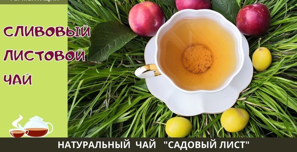 Сливовый чай. Как сделать в домашних условиях | Пикабу